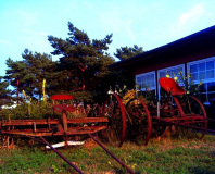 hinter der Alten Bäckerei in Vitte