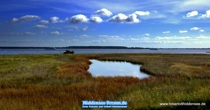 Boddenlandschaft