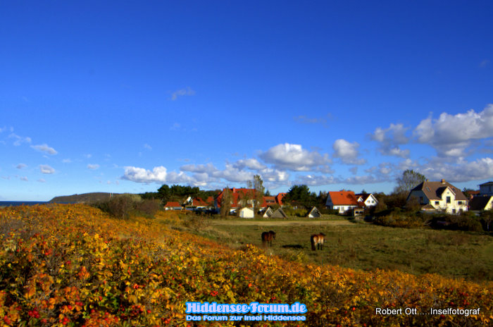 Herbst in Vitte