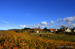 Herbst in Vitte