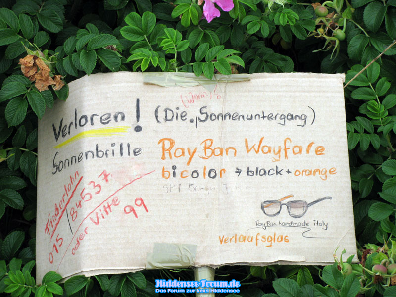 RaybanSonnenbrille verloren