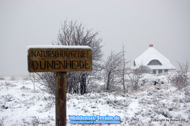 Naturschutzgebiet Dünenheide im Winter