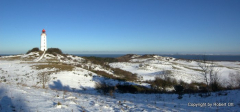 Insel im Winter 2011