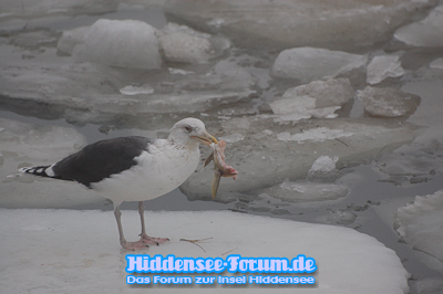 Lecker Mittag...
