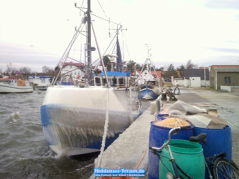 Heute im Hafen Vitte