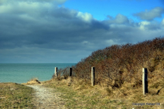 Strandaufgang in der Heide