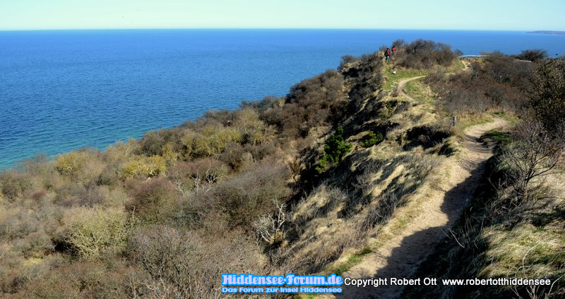 ein mal Hiddensee immer Hiddensee