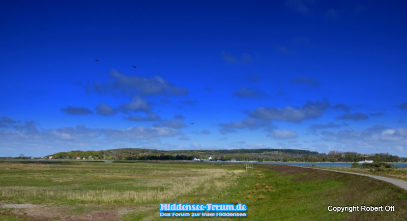 Die Insel