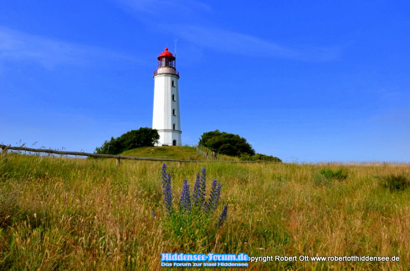 Leuchtturm Dornbusch