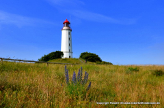 Leuchtturm Dornbusch