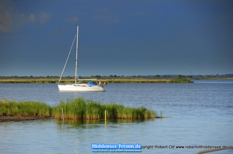 Boddenlandschaft