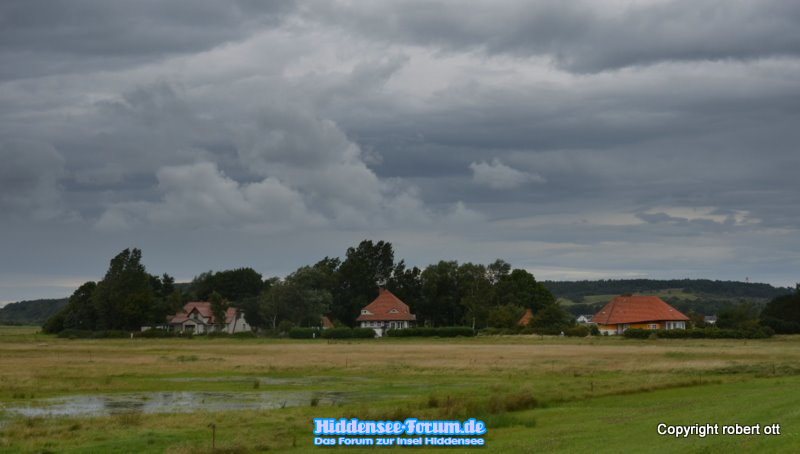 Vitte in Grau (Nördlich)