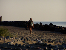 Strandläufer