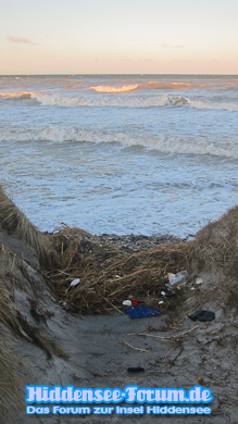 Strandgut vom letzten Sturm..
