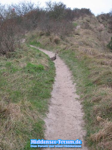 Weg an der Steilküste mit Riss 1