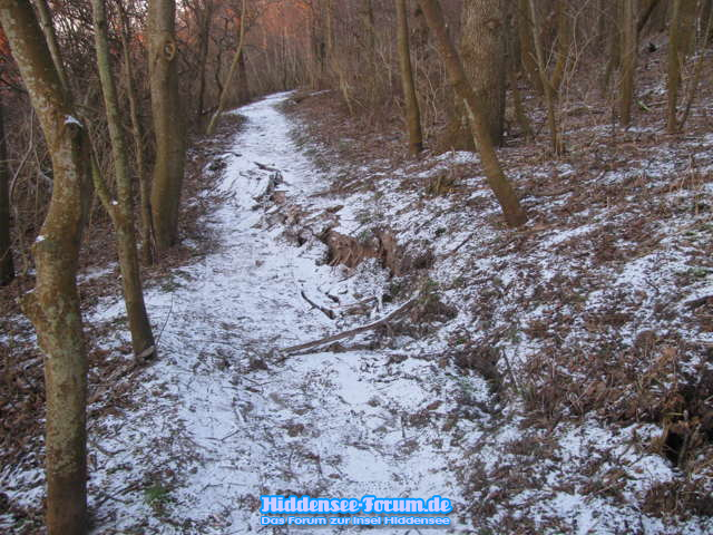 Steiluferweg auf Hiddensee