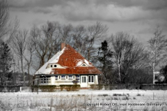 Winterliche Insel Hiddensee