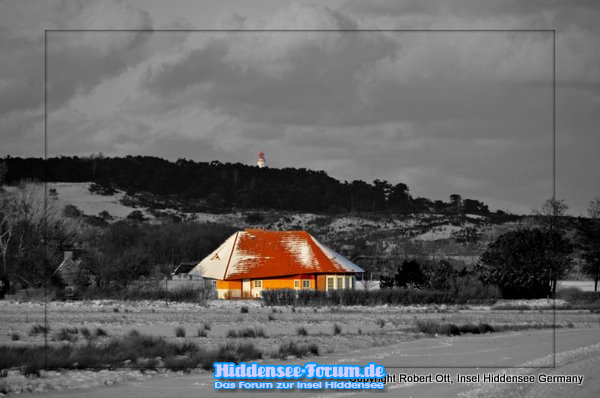 Hiddensee zeigt FARBE