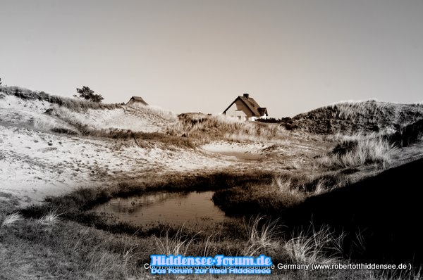 Hiddensee und seine Dünen