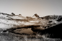 Hiddensee und seine Dünen