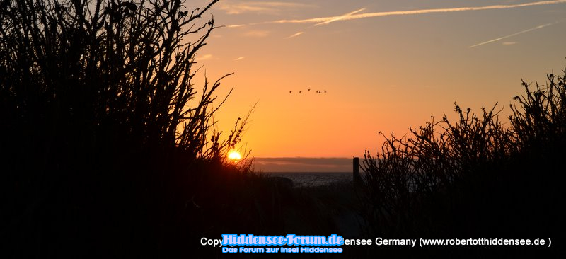 Ohne Worte