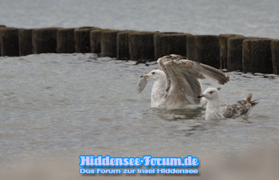 Ob sie mit mir teilt???