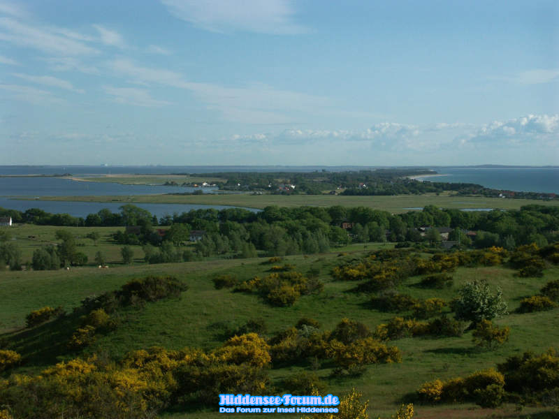 Büchselblick
