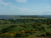 Büchselblick