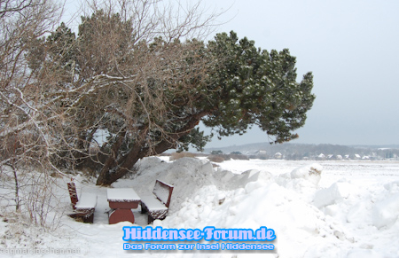Rastplatz im Winter