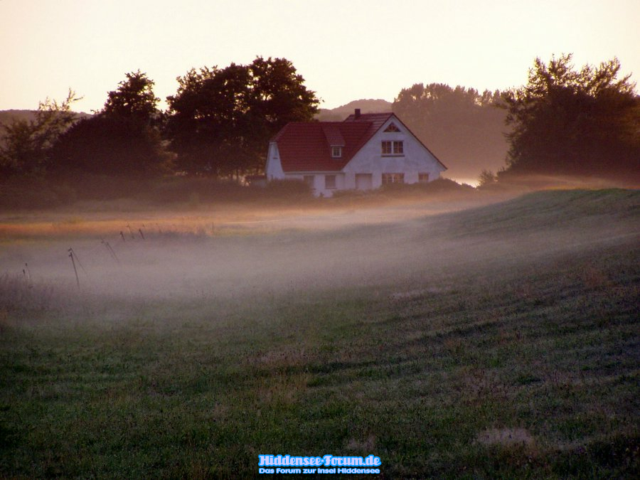 Morgennebel gegen 4.30Uhr in Vitte