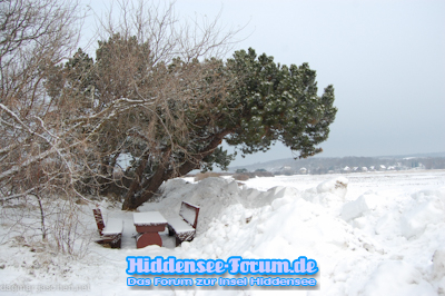 Hiddensee im Winter