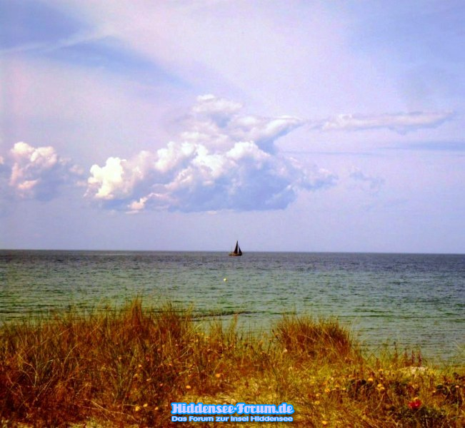 Sail away