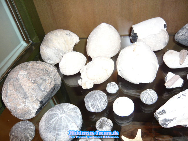 P1010026