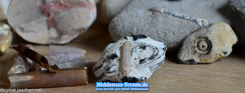 Sammelsorium