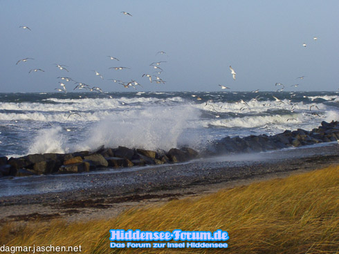 Wintersturm auf Hiddensee