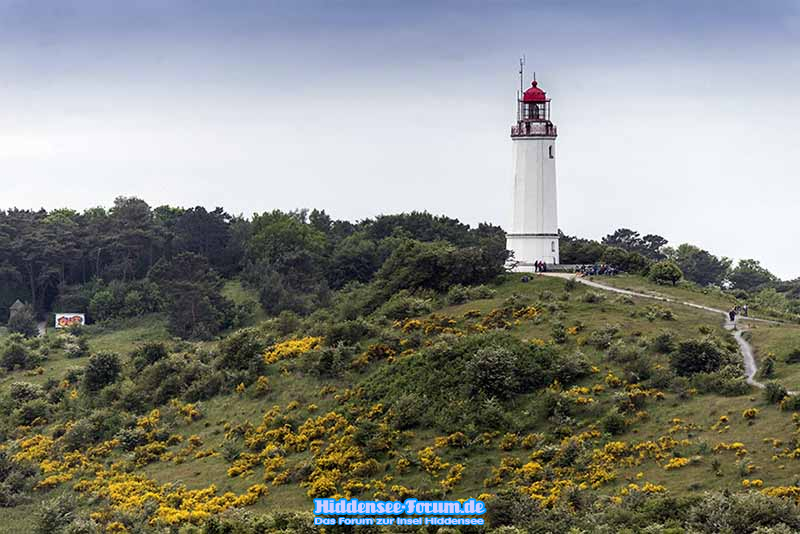 Blick zum Turm vom Swanti im Juni 2014