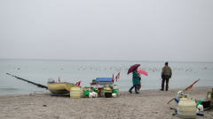 Farbtupfer am Strand