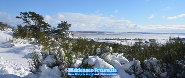 Winter Feb.2021