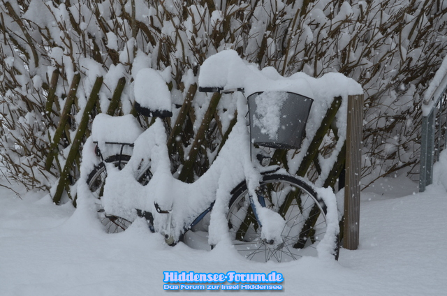 Schneesturm Feb.2021