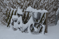 Schneesturm Feb.2021