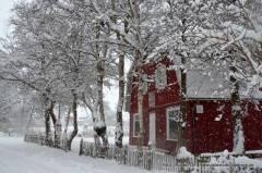 Das Rote Haus in Vitte