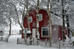 Das Rote Haus in Vitte