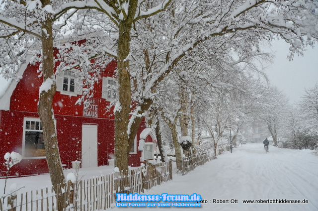 Das Rote Haus in Vitte