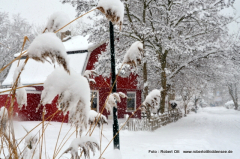 Das Rote Haus in Vitte