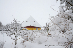 Schneesturm Feb.2021 Vitte