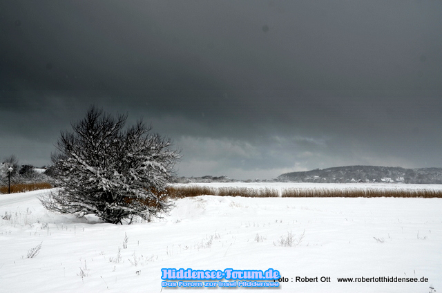 Winterliches Vitte 2021 Feb.
