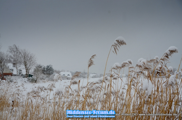 Winterliches Vitte 2021 Feb.