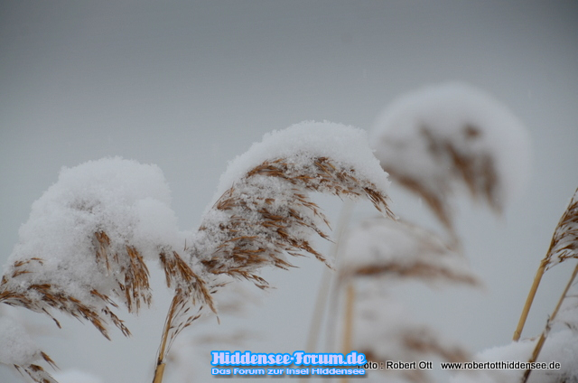Winter Feb.2021