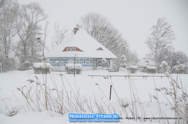 Winter Feb.2021