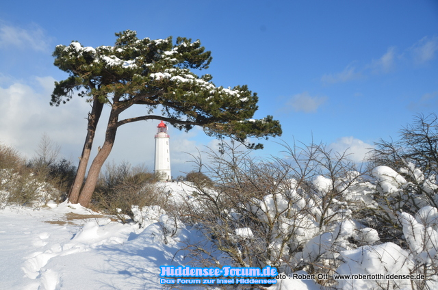 Winter-Genuss 2021